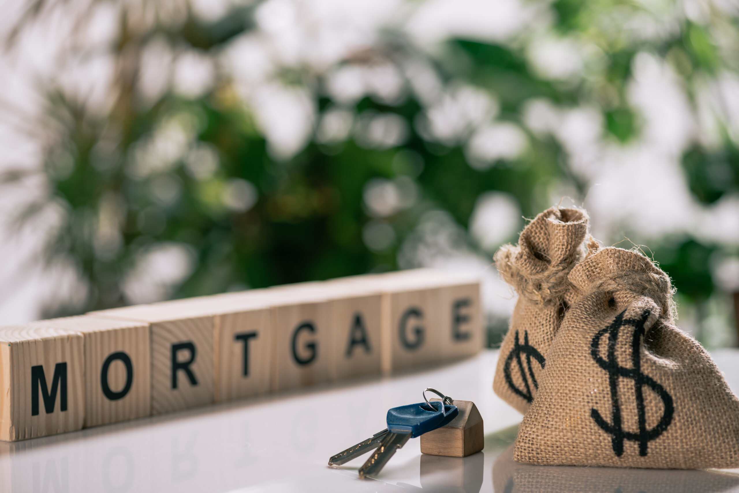 Best Jumbo Mortgage Lenders in Tampa, FL
