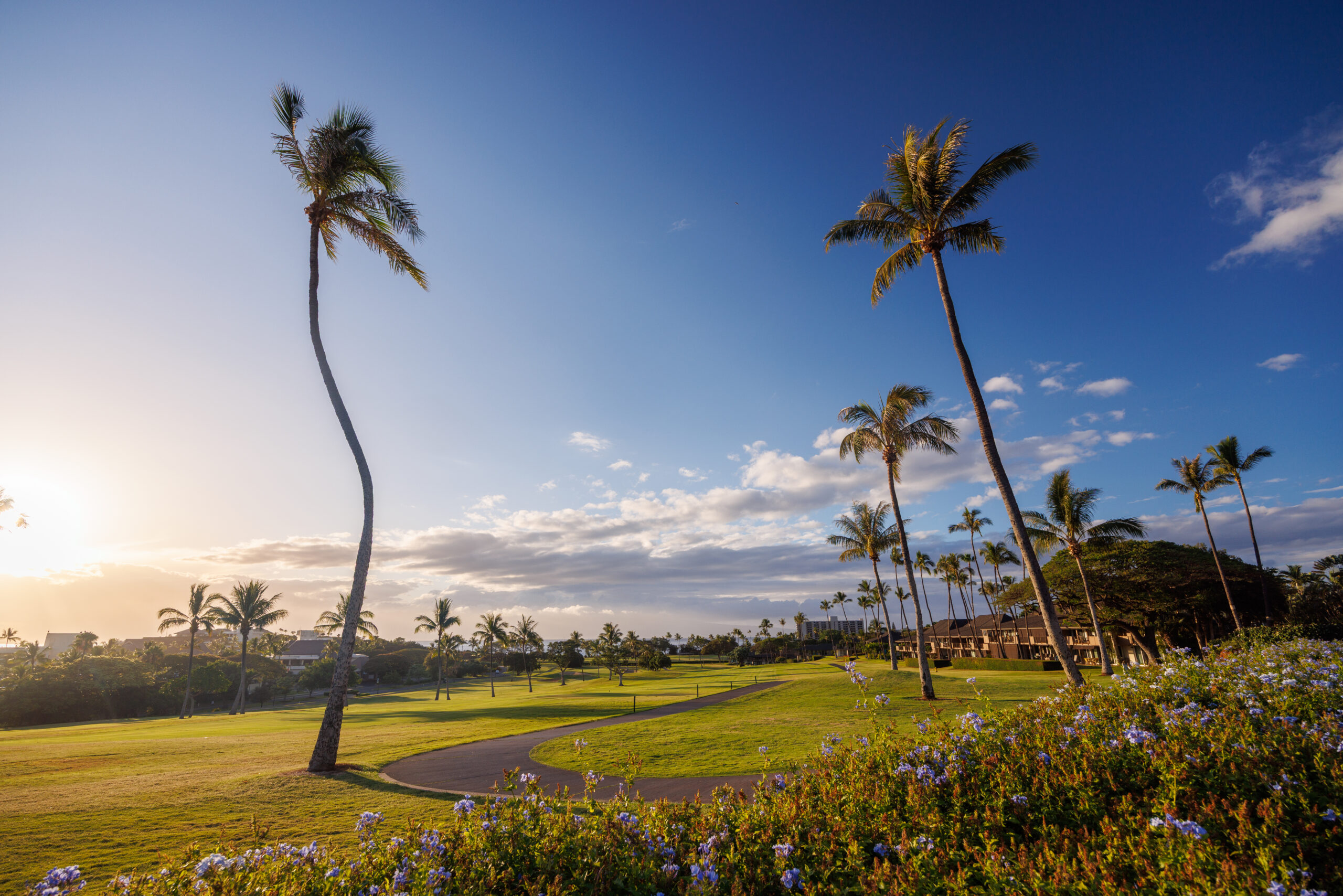 Best Asset-Based Loans for Investors in Hawaii